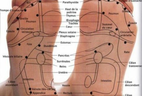 Réflexologie plantaire